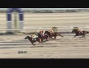 2019年1月27日高知競馬4R あったかコーヒー特別(C2-3組) アルネゴー
