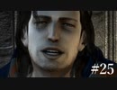 【Bayonetta】俺のバカ【実況プレイ】#25