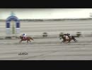 2019年1月27日高知競馬5R 県民・男女協賛 橋本夫婦結婚記念特別(C2-2組) ソラネ