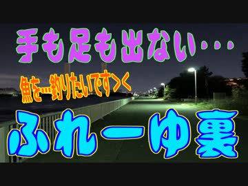 釣り動画ロマンを求めて 224釣目（ふれーゆ裏）