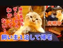 置いてかれて怒りながら甘えてくる猫に事情を説明した結果…
