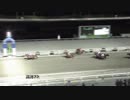 2019年1月27日高知競馬7R 厳冬特別(C2-1組) サウストラベラー