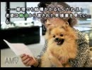 明日への活力を求めて街をやる 4