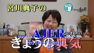 『山梨県知事選挙結果報告(その1)①』宮川典子　AJER2019.1.29(3)