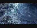 A Turquoise In The Deep Sea　＠　菊地謙二郎
