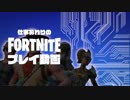 【フォートナイト】衝撃の展開！ラストに飛行機が・・・！【実況プレイ動画】