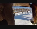 きょうのるふぃのにちじょう（Horse's eyes)
