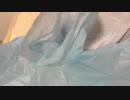 歌ったよ　ふりむいて抱きしめて　WANDS     Jun8    つぬ子日記
