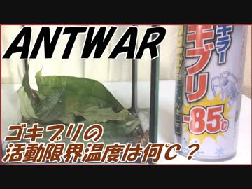 冬だけど、ゴキブリって何度で活動停止するの？