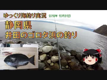 2018年大晦日の釣り（伊豆半島井田のゴロタ浜）