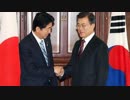 【韓国】「安倍を叩く！」韓国議員のまるでイオン岡田の様なバカげた発言に一同納得！（笑）