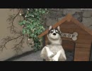 gta v funny husky dog
