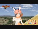 2019/1/29 『ダーウィンが来た』カラカル（フレンズ）登場シーンのみ