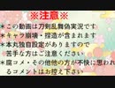 狐と獅子の反省遠征記録【第13回】