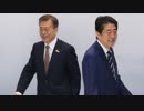 【日韓断交】「25年後には日韓双方が完全な敗北者になる！」韓国の自称専門家の妄言垂れ流しが今日も痛々しい（笑）