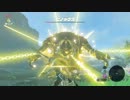 #38【縛り実況】軽めに縛ってハイラルを駆ける【ゼルダの伝説　ブレス オブ ザ ワイルド】　