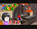 【マリオ64】大好きな箱庭マリオの原点なワケだが、じつは【初見実況】part２５