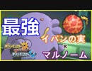 【ポケモンUSUM】イバンのみマルノームがめちゃめちゃお仕事してくれる