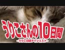 うりこさんの10日間 - 2019①