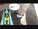 【素人養蜂　Part44】2019年に突入です