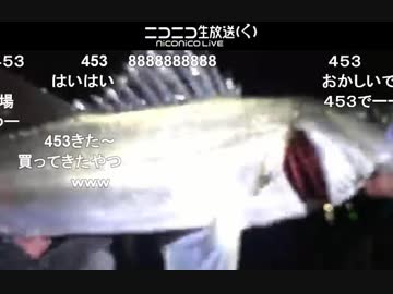 釣り　仕込み釣り(４５３)　某配信者に仕込み釣りがばれた？