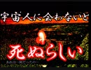 【ホラーゲーム】未確認生物？宇宙人に会いに行こう。Idiocy Game実況その１