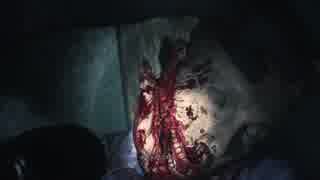 【実況】緑のビビりがラクーンシティに迷い込んだようです。part2【BIOHAZARD RE:2】