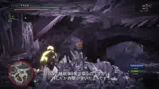 MHW ベヒーモス 転身・不動に頼りっきり 21'55"36