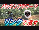 パックンフラワーが追加？リンクで潰す！衝撃の6連戦！【スマブラSP】