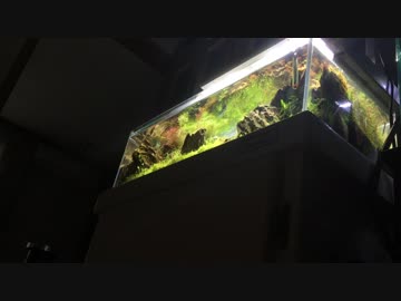 【ゆっくり実況】60LOW水槽立ち上げ　PART2