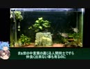 【３分水槽】part13「クテノポマ・ルール」