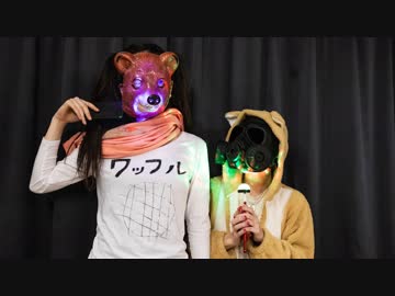 【いぬまる街】金星のダンス 踊ってみた【振り付け選手権2019】