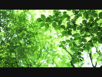【吹奏楽】マーチ「エイプリル・リーフ」【MuseScore】