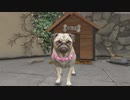 河合 dog pug virtual video game Grand Theft Auto V