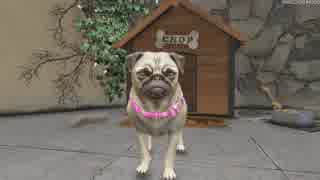 河合 dog pug virtual video game Grand Theft Auto V