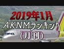 2019年1月AKNMランキング
