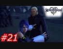 【泣かずにプレイ】キングダムハーツ３　Part21