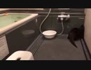 カワウソはとにかく排水溝のフタを空けちゃいます