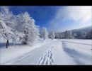 【癒し】雪の上を歩く音《60分》（睡眠用BGM・作業用BGM・ASMR）