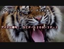 SCP-1208-JP-J - デコトラ命