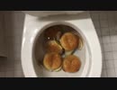 マクドナルドのチーズバーガー５個をトイレに流してみた