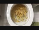 マクドナルドのフライドポテトをトイレに流してみた