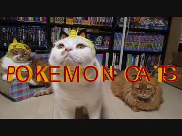 【マンチカンズ】ポケモンニャンコ第一話「怒りのピカチュウ」