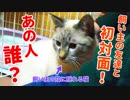 知らない人が家にやってきた猫の反応がかわいすぎた！