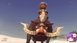 【FF11】新規・復帰者向けＦＦXIのトリセツのようなもの179【FFXI】