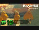 【実況】見落としが多い勇者の冒険part10【ブレスオブザワイルド】