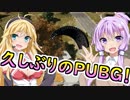 【PUBG】6ヶ月ぶりのドン勝は最高！【ボイスロイド実況】