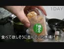 本気でダイエットチャレンジ！出来なかったら罰ゲーム！！第一夜