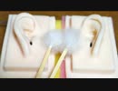【ASMR】目を閉じたら本物だと錯覚するような梵天耳掃除【音フェチ】