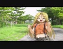 【実況】光のアイカツおじさんと闇のFXの双肩に沖縄の未来を託す 風雨来記2_Part29